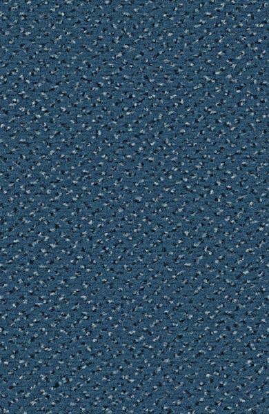 Rechteckbild vom Alexis